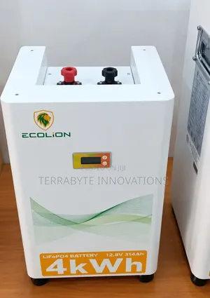 4D 4kWh 12.8V 314Ah Lithium LiFePO4 Battery Ecolion