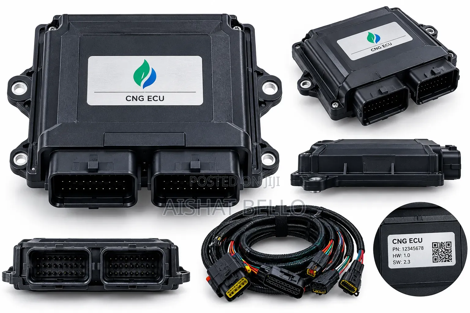 CNG Conversion ECU for Compatible Gas Systems
