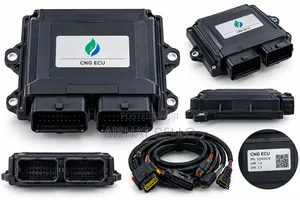 CNG Conversion ECU for Compatible Gas Systems