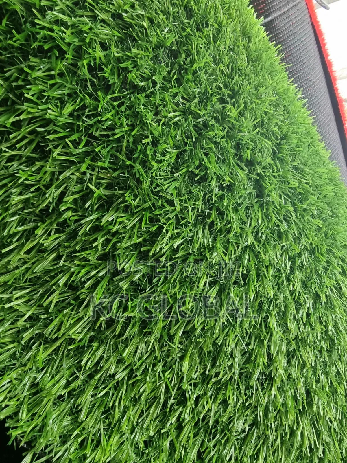 20mm Lemon Grass