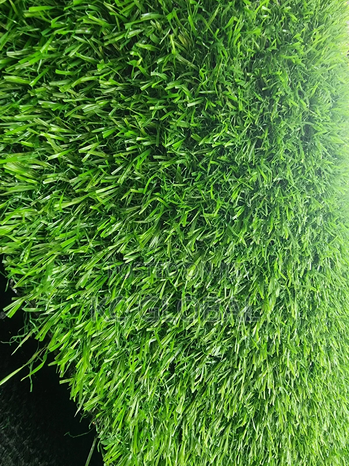 20mm Lemon Grass