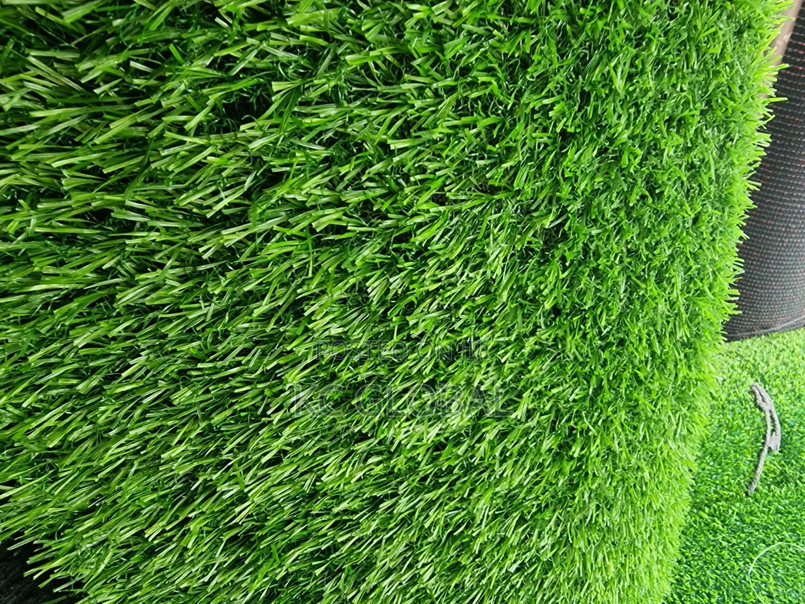 20mm Lemon Grass