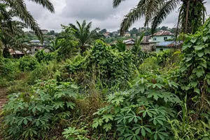 3 1⁄2 Plots of Land for Sale at Umudike