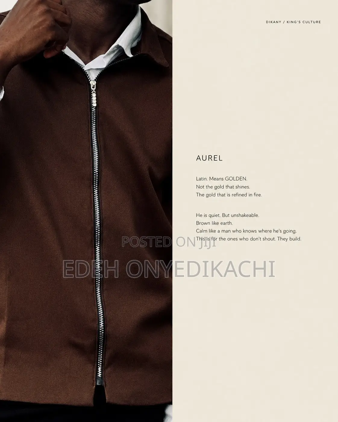 Brown Jacket