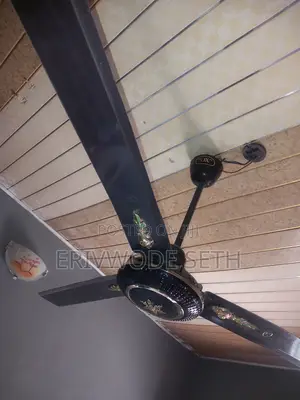 2 Ceiling Fans