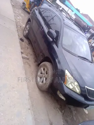 Lexus RX 2007 Gray