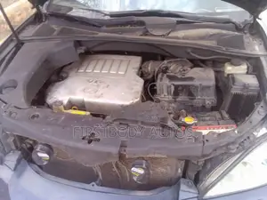 Lexus RX 2007 Gray