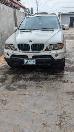 BMW X5 2006 White