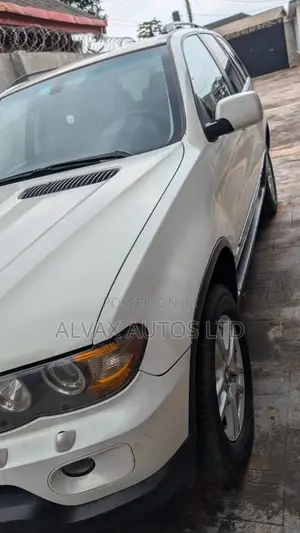 BMW X5 2006 White