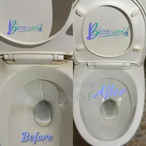 House Cleaning Services