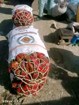 Tomato and Pepper