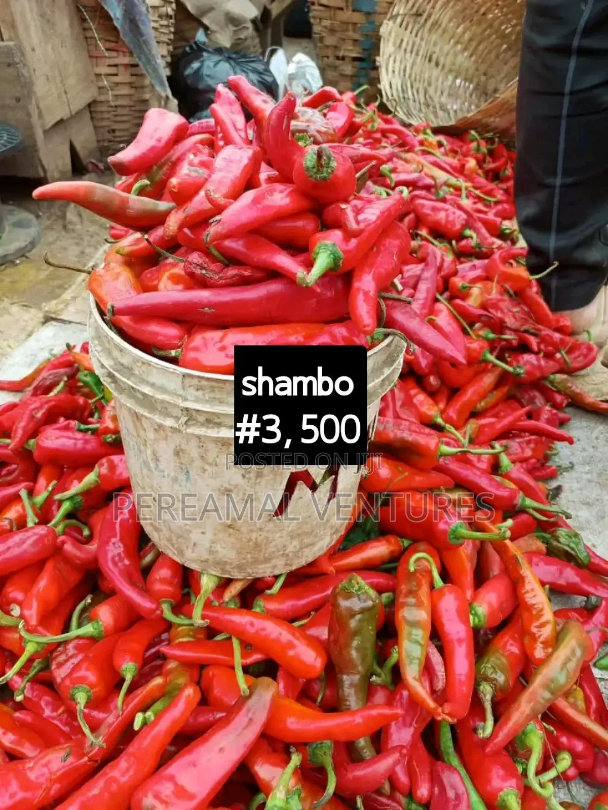 Tomato and Pepper
