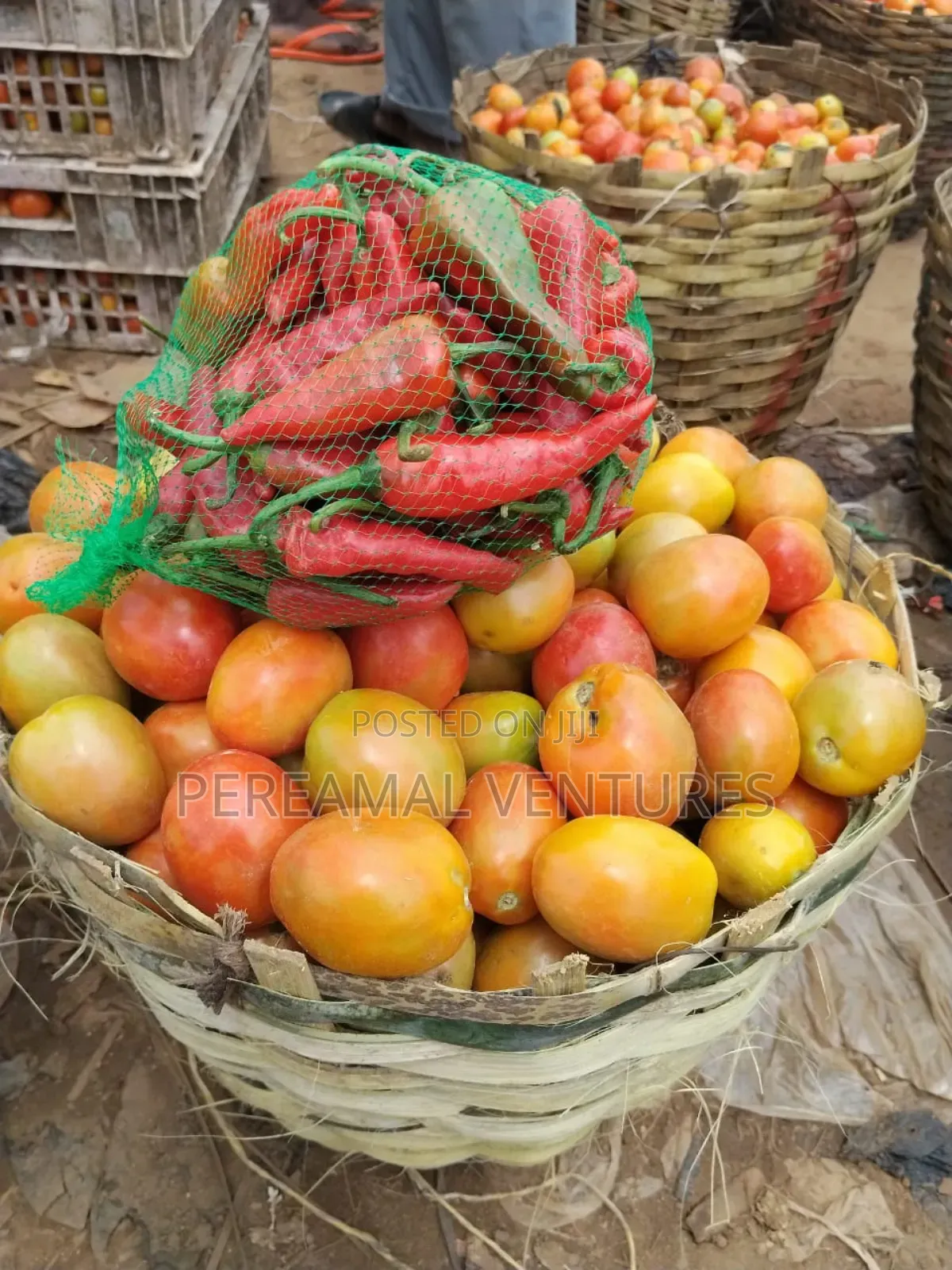 Tomato and Pepper