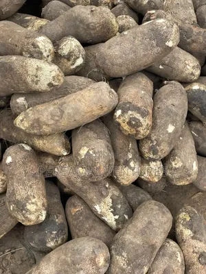 Very Sweet and White Yam