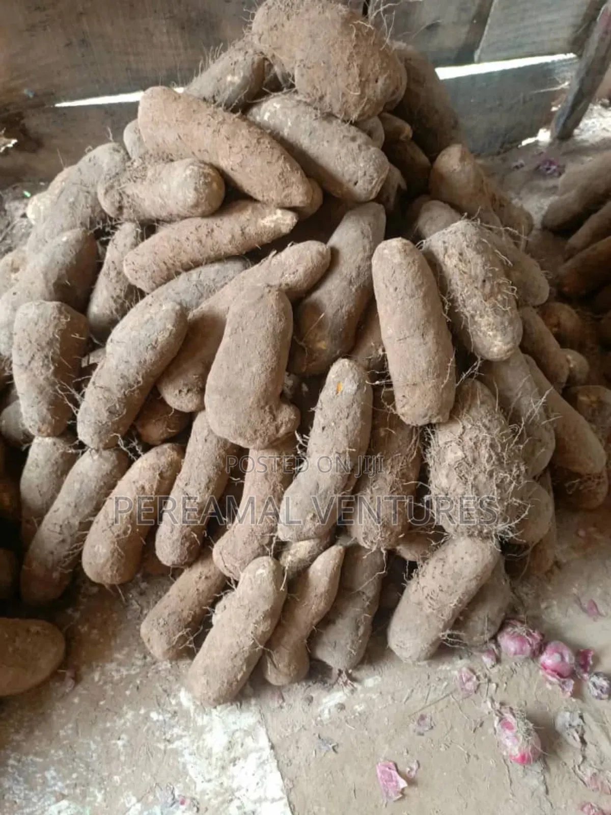 Very Sweet and White Yam