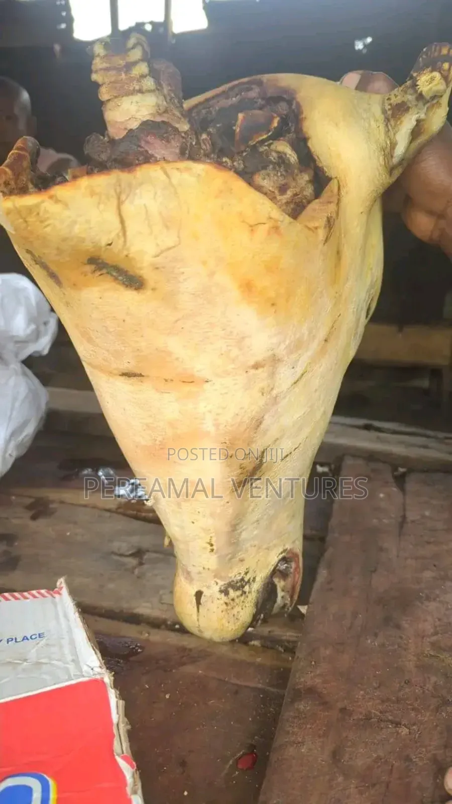 Cow Head and Tail