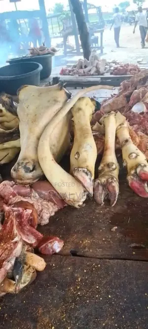 Cow Head and Tail