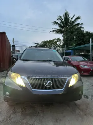 Lexus RX 350 2010 Gray