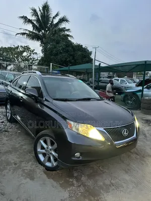 Lexus RX 350 2010 Gray