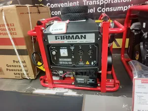 Firman Eco3990es 2900 /2600 Watt