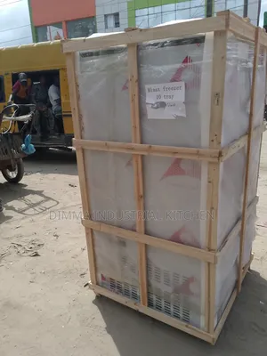10 TRAY Blast Freezer