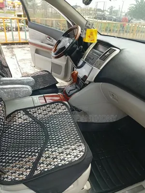 Lexus RX 330 2005 Silver