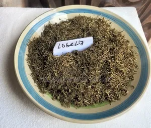 Lobelia -100g