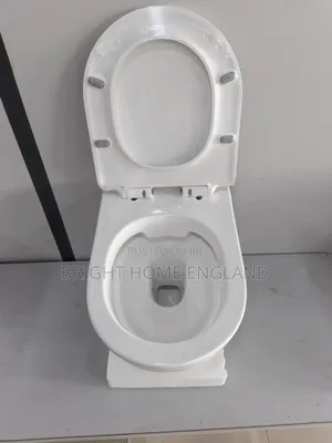 Executive Conceal Toilet WC