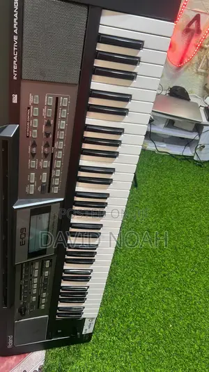 Roland E09