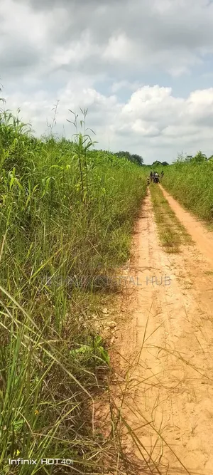 117 Acres of Farming Pand