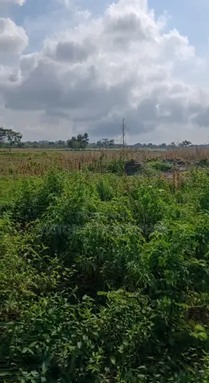 6.43 Hectares Mixed Use Land