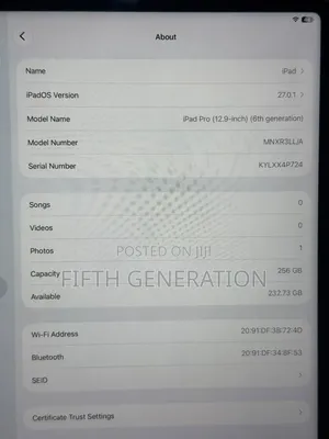 Apple iPad Pro 12.9 (2022) 256 GB Gray