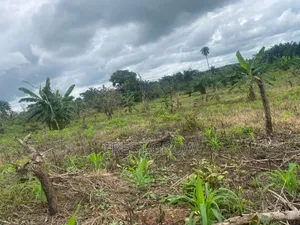 Farmland at Iseyin Oyo State
