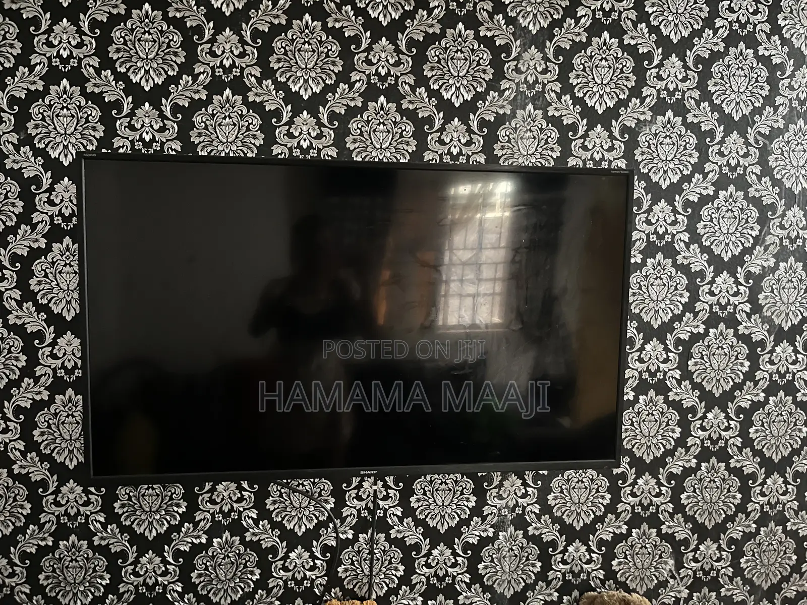 Television