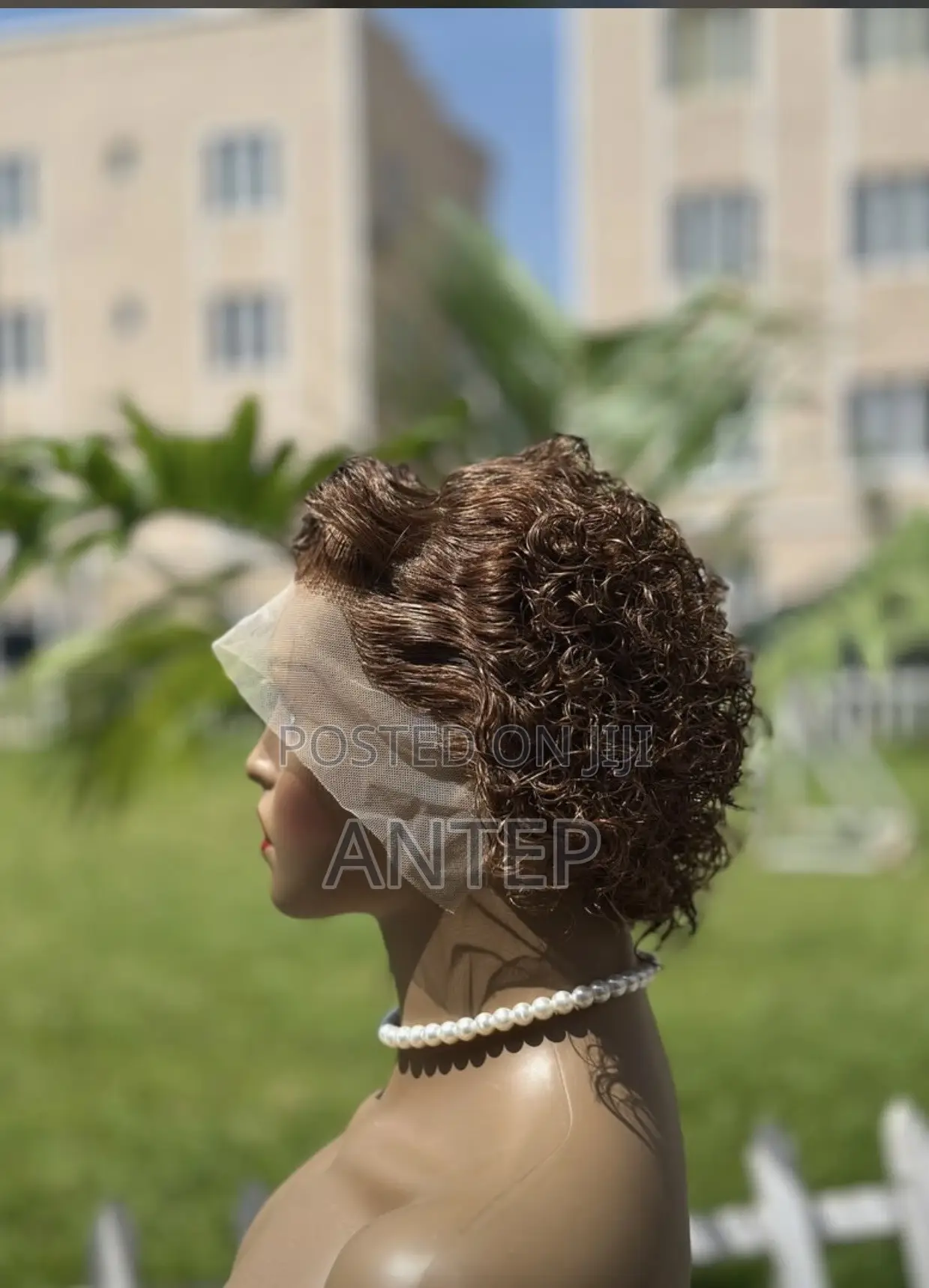 Human Hair