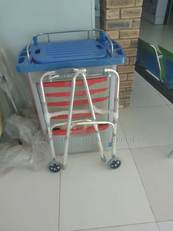 Everyday Mobility Walker With Rolling Wheels