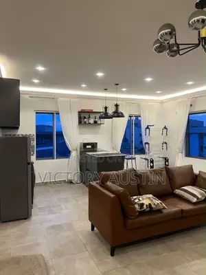 Luxury 1 Bedroom Penthouse