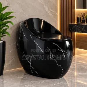 Modern Black Marble Water Closet