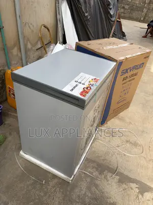 Skyrun 145L Freezer for Family Food Storage