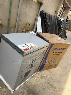 Skyrun 145L Chest Freezer for Family Needs