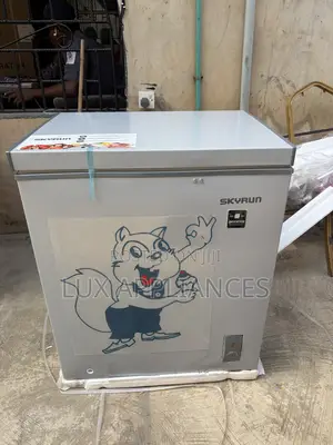 Skyrun 145L Inverter Deep Freezer for Home