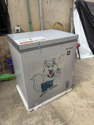 Skyrun 145L Inverter Freezer for Everyday Use