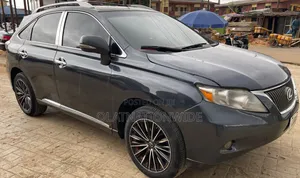 Lexus RX 2010 Gray