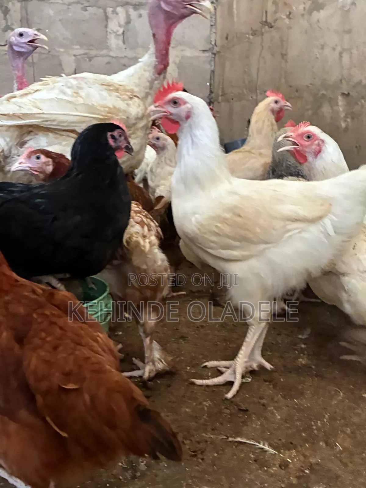 Spirok Farms