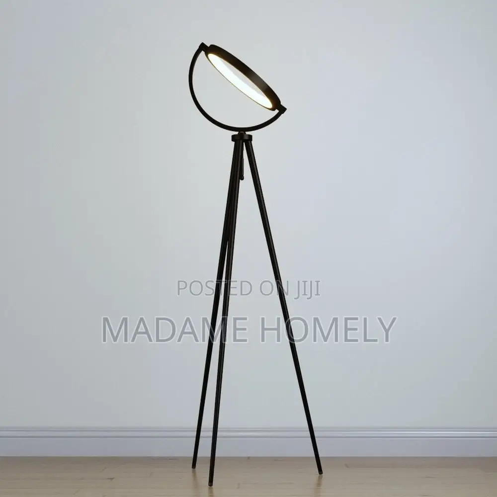 Halo Floor Lamp