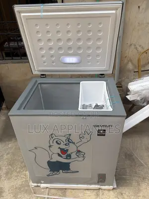 Skyrun BD-180AI Fast-Freezing Chest Freezer
