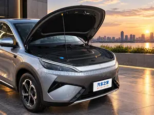 New BYD Yuan Plus 2025 Gray