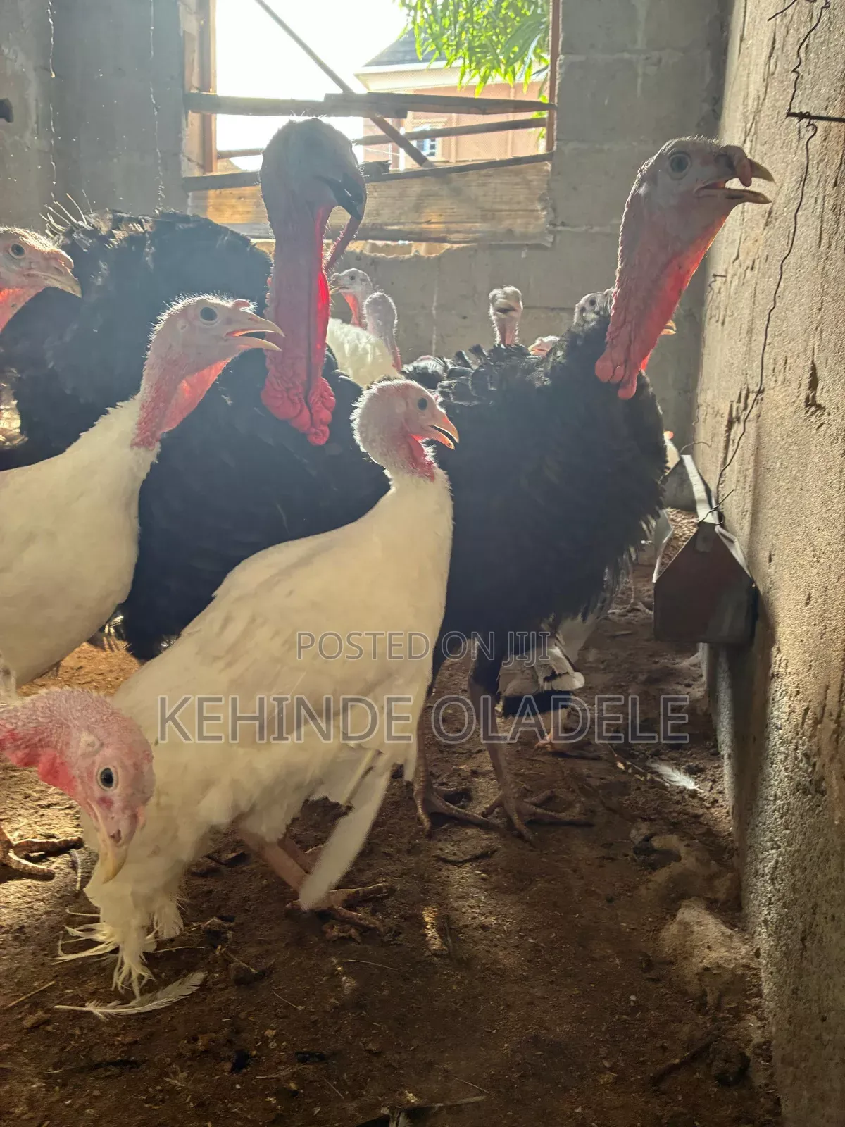 Spirok Farms