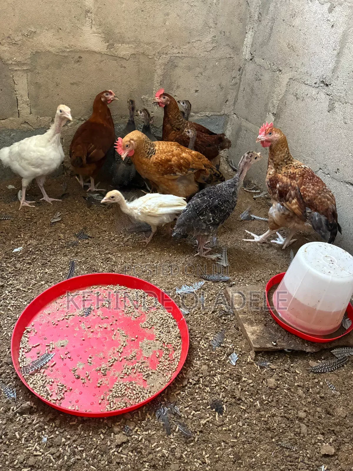 Spirok Farms