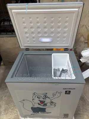 Skyrun 145L Deep Freezer for Small Businesses